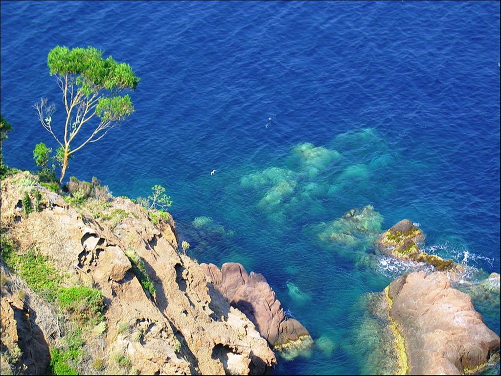 Vacanceole - Les Calanques Du Parc Saint Aygulf Exterior foto